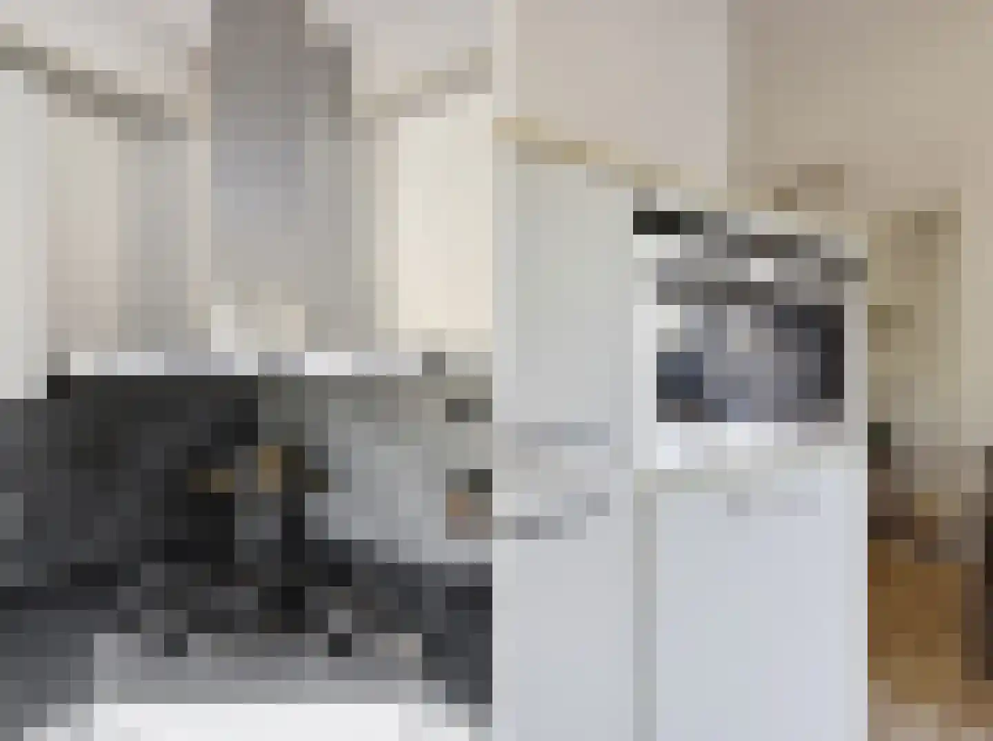 Kanariesprenk 431 Vlissingen thumbnail 17