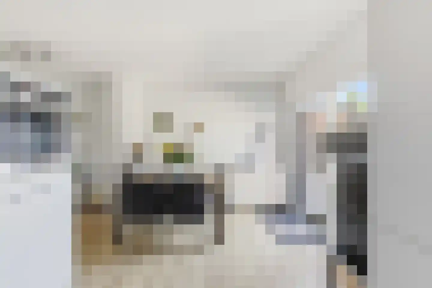 Kanariesprenk 431 Vlissingen thumbnail 19