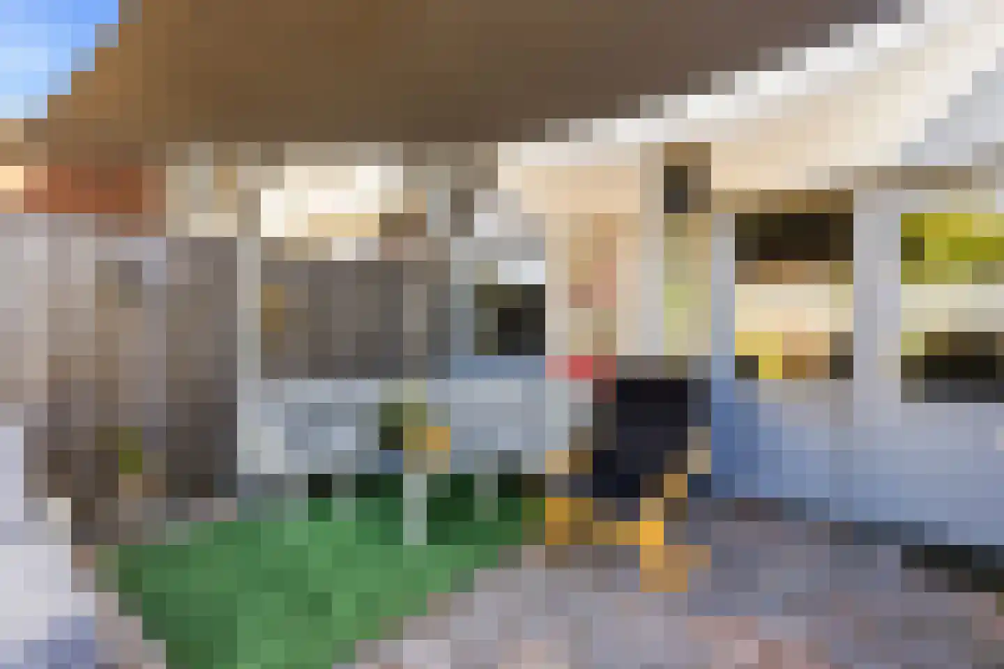 Kanariesprenk 431 Vlissingen thumbnail 21