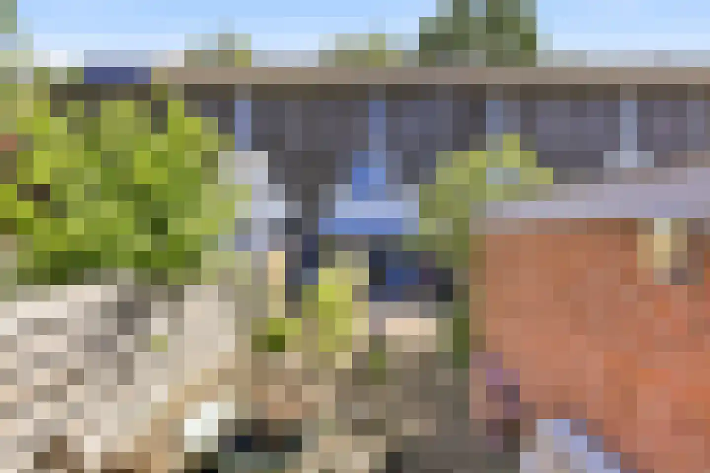 Kanariesprenk 431 Vlissingen thumbnail 23