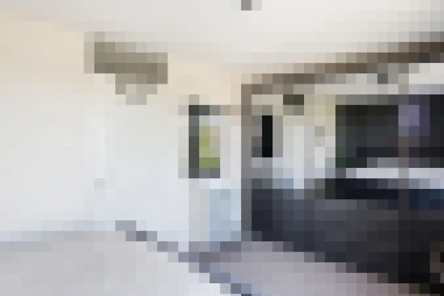 Kanariesprenk 431 Vlissingen thumbnail 28
