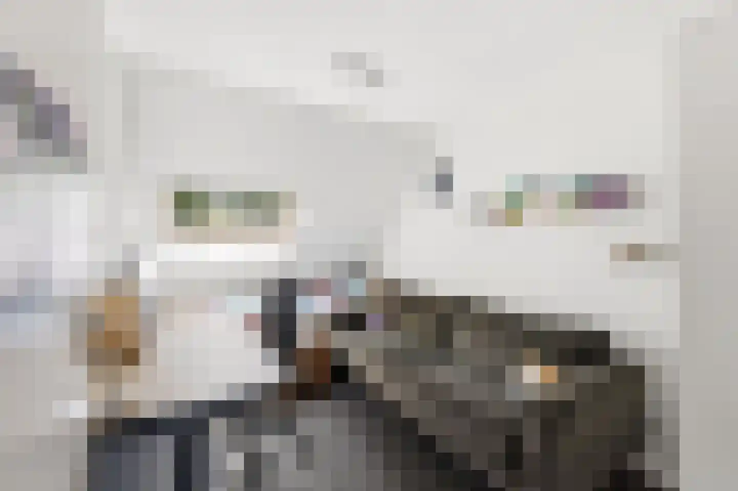 Kanariesprenk 431 Vlissingen thumbnail 29