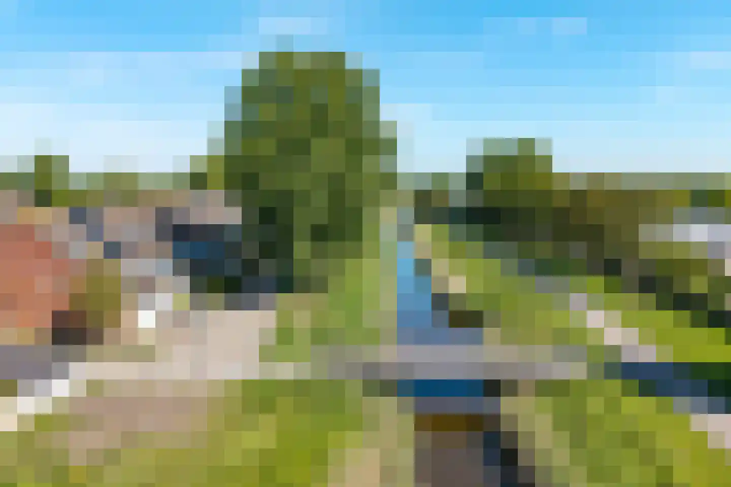 Kanariesprenk 431 Vlissingen thumbnail 5
