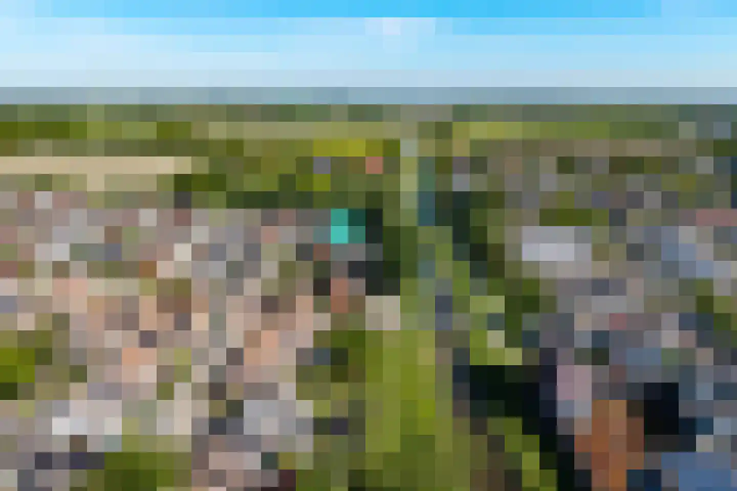 Kanariesprenk 431 Vlissingen thumbnail 7