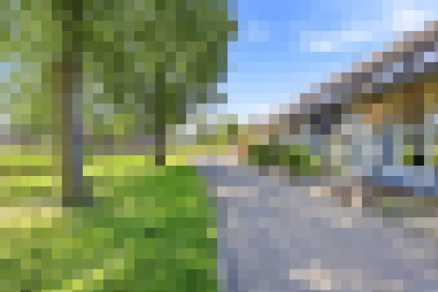 Kanariesprenk 431 Vlissingen thumbnail 9