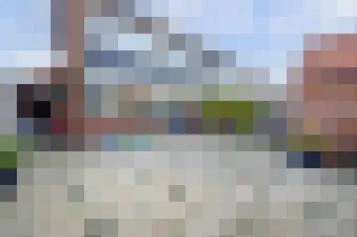 Kanariestraat 11 Spijkenisse thumbnail 10