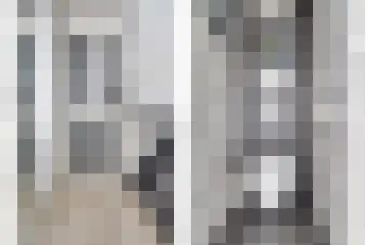 Kanariestraat 11 Spijkenisse thumbnail 14