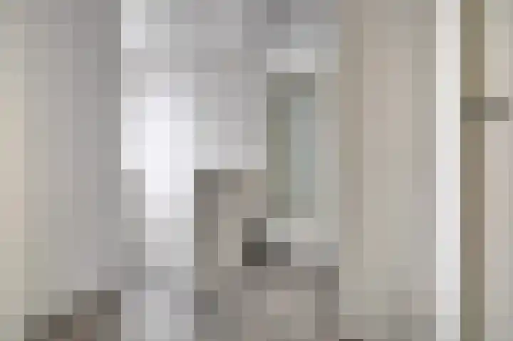 Kanariestraat 11 Spijkenisse thumbnail 18