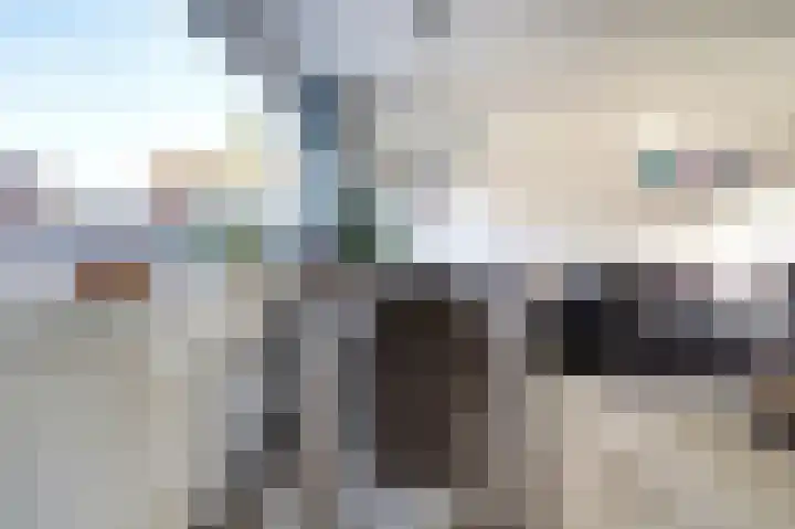 Kanariestraat 11 Spijkenisse thumbnail 4