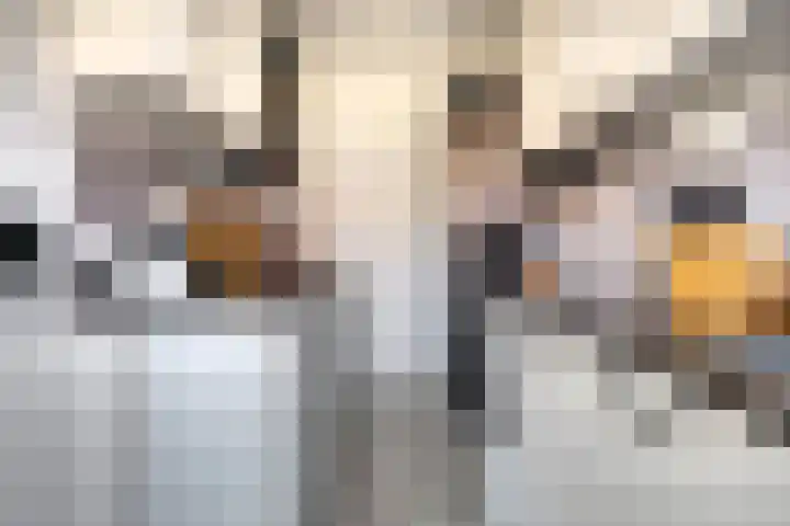 Kanariestraat 11 Spijkenisse thumbnail 7