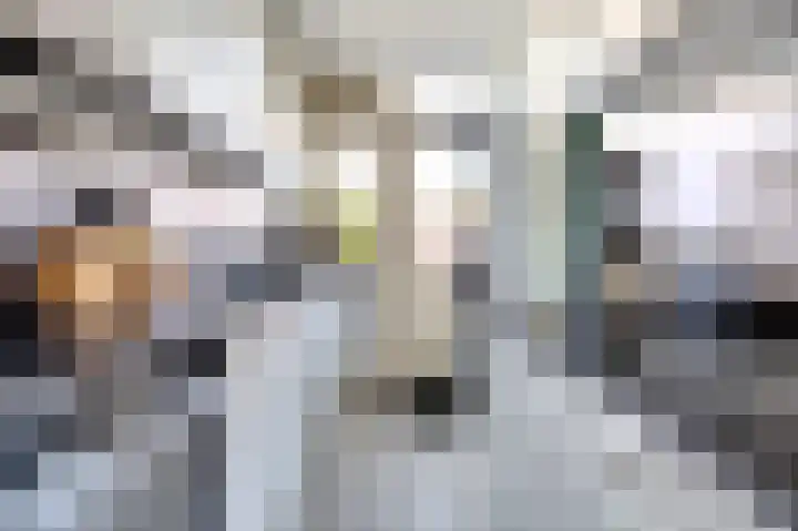 Kanariestraat 11 Spijkenisse thumbnail 8