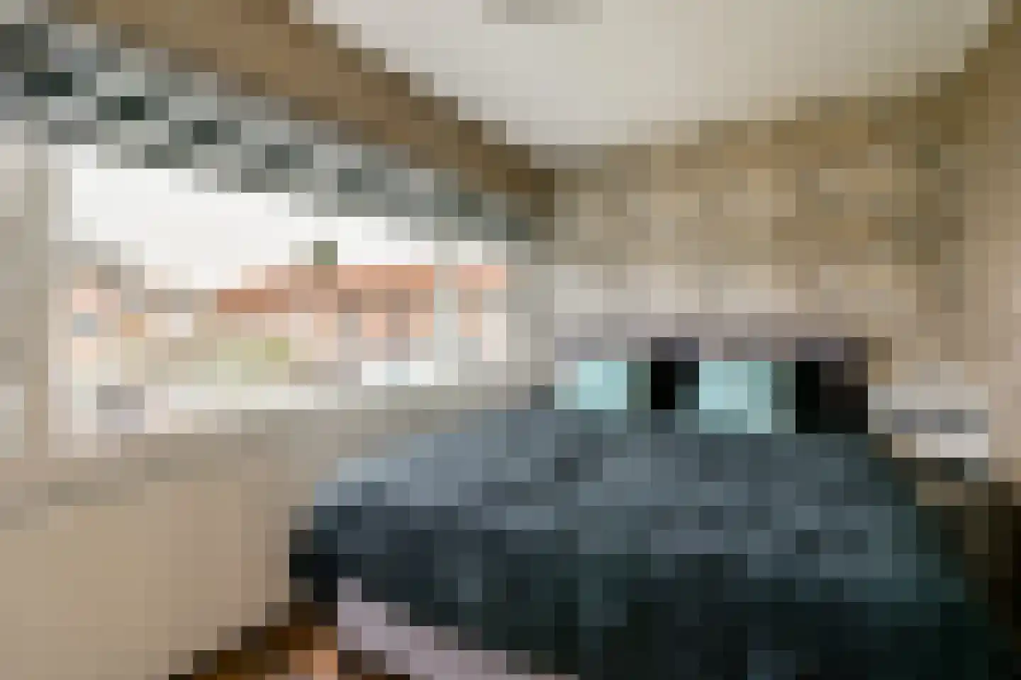 Kanariestraat 12 Spijkenisse thumbnail 10