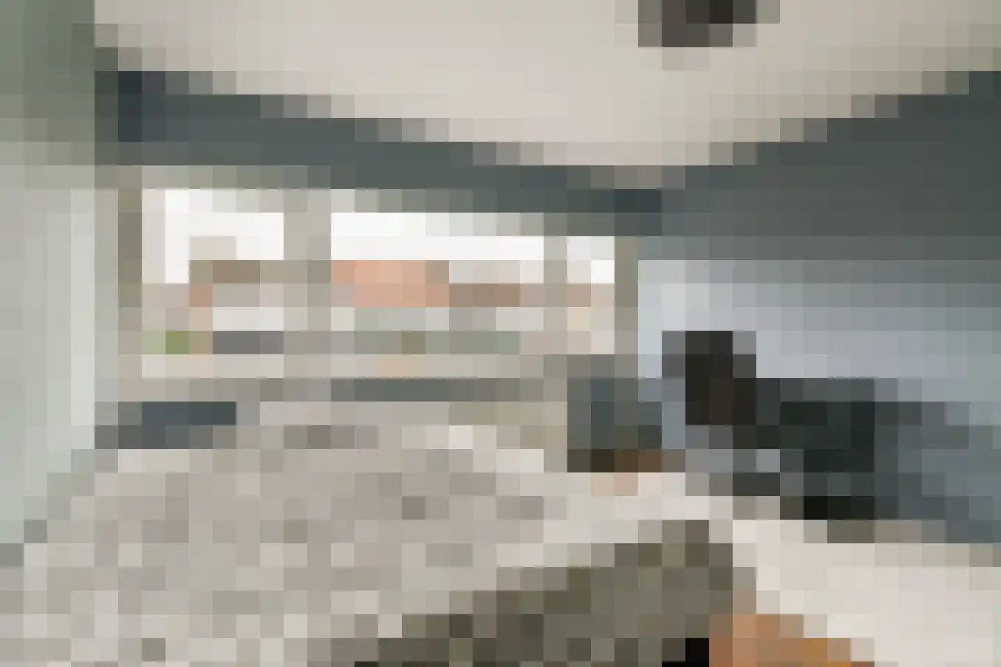 Kanariestraat 12 Spijkenisse thumbnail 12