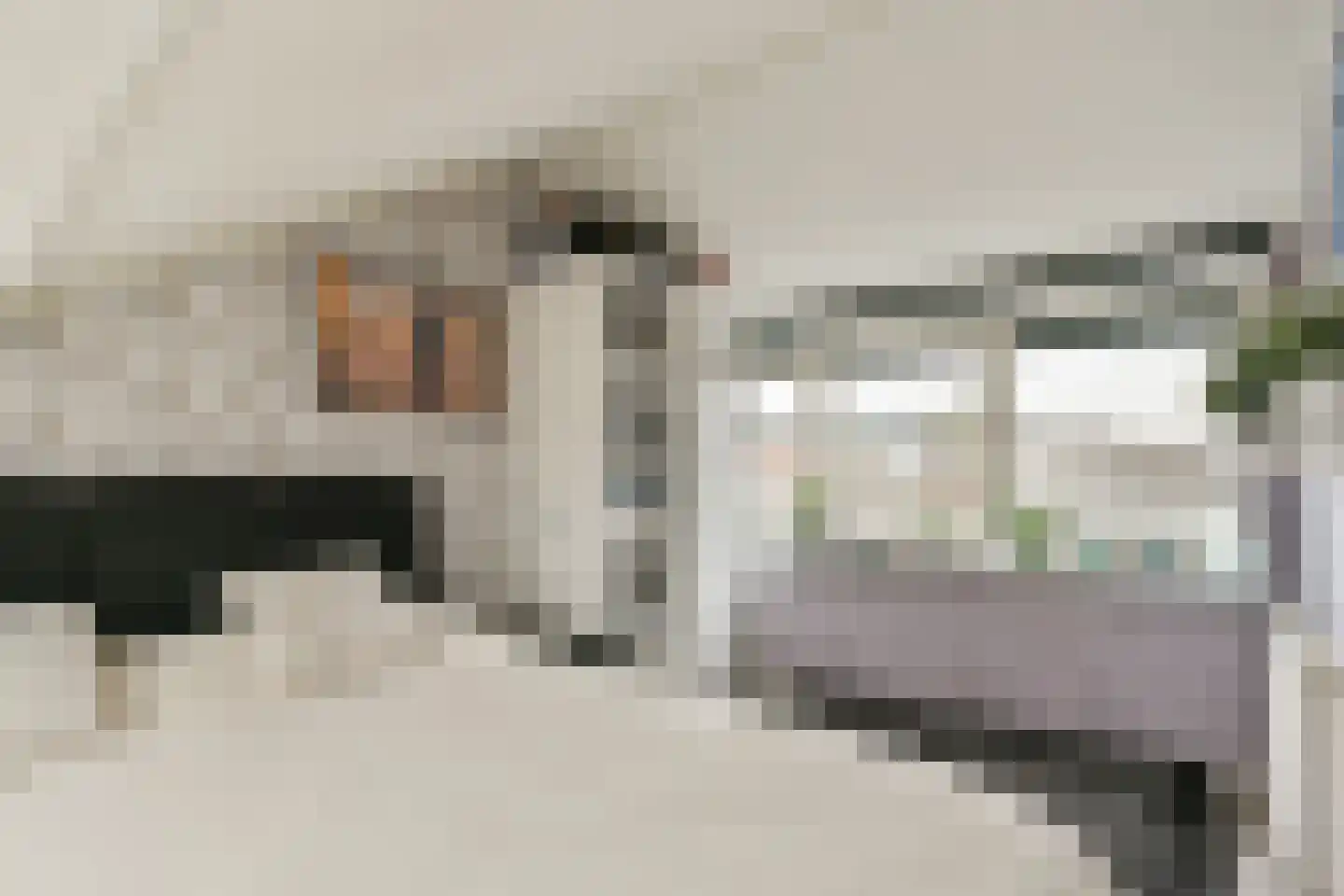 Kanariestraat 12 Spijkenisse thumbnail 17