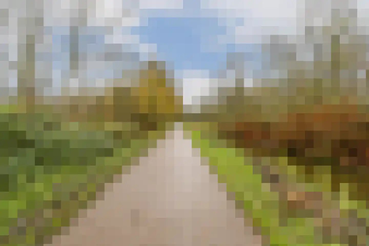 Kanariestraat 12 Spijkenisse thumbnail 25