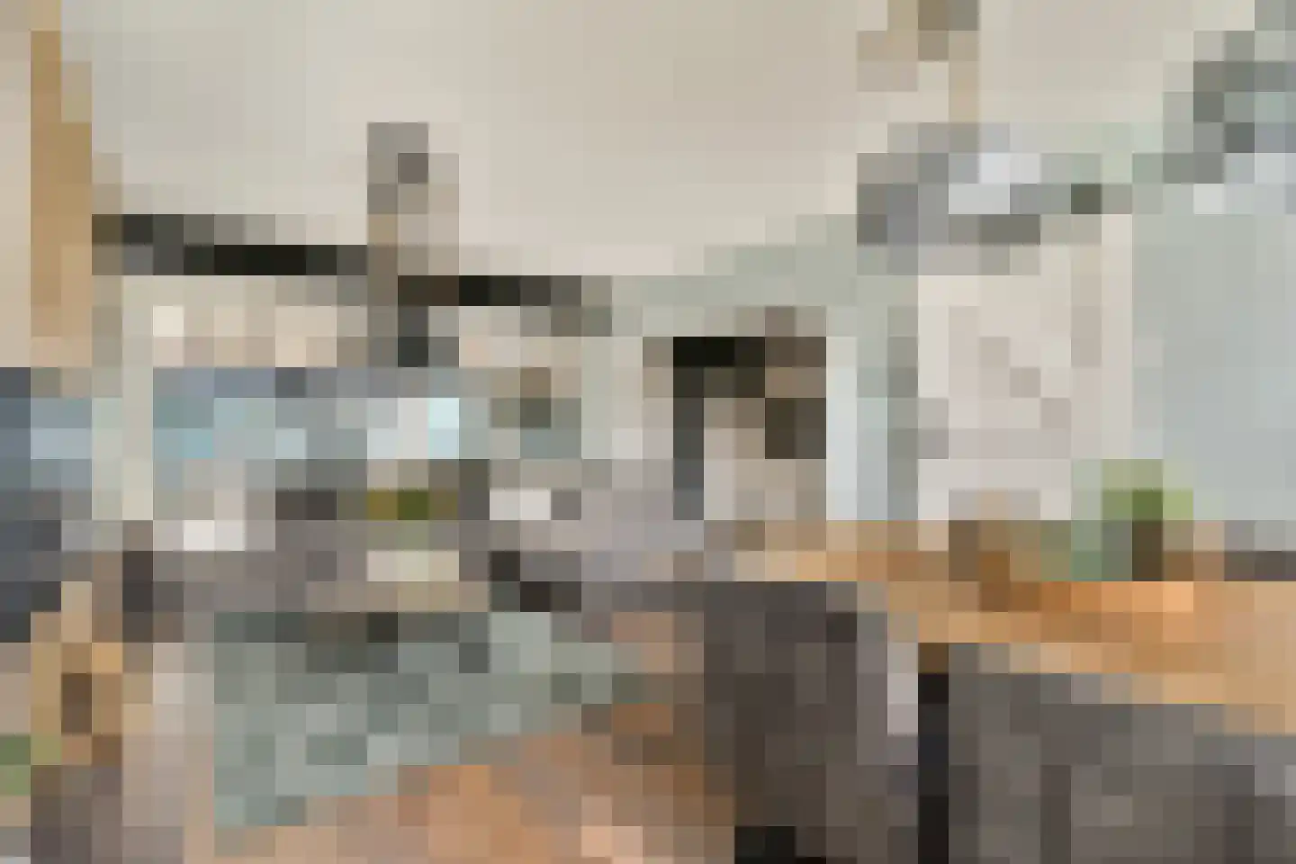 Kanariestraat 12 Spijkenisse thumbnail 7