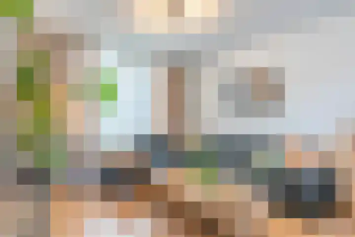 Kanariestraat 14 Kerkrade thumbnail 7