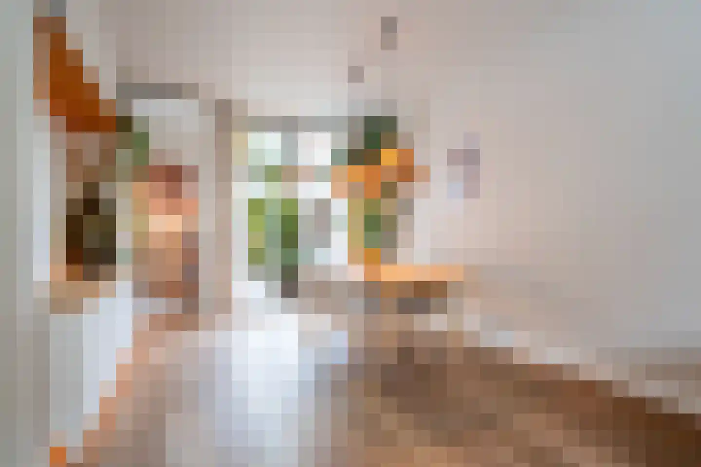 Kanariestraat 21 Breda thumbnail 10