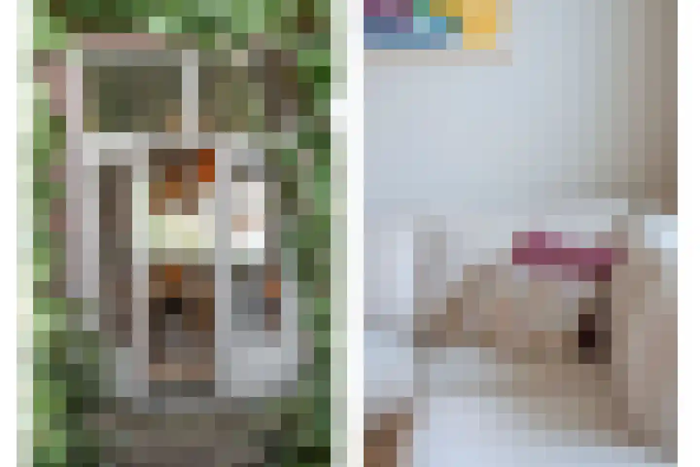 Kanariestraat 21 Breda thumbnail 16