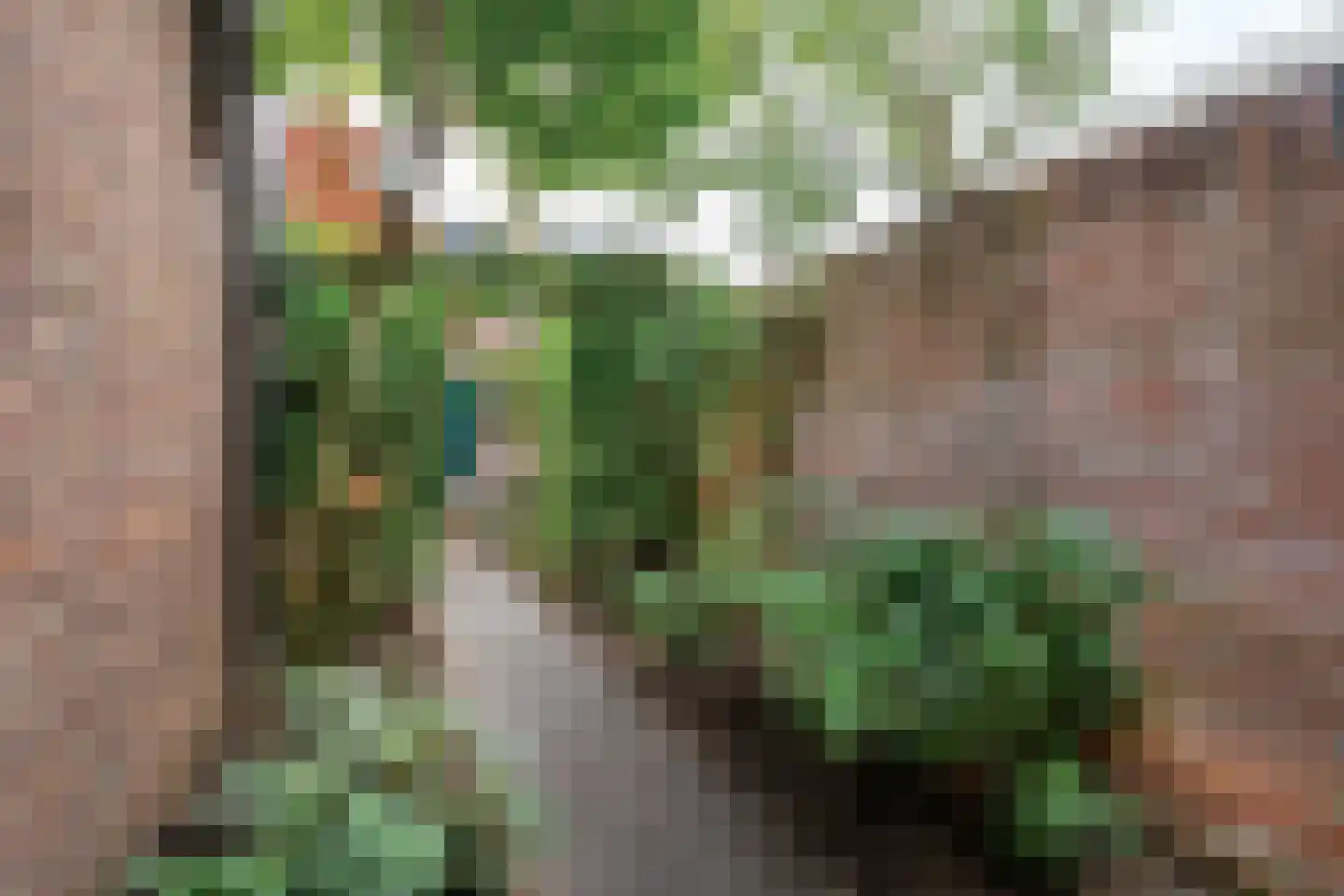 Kanariestraat 21 Breda thumbnail 17
