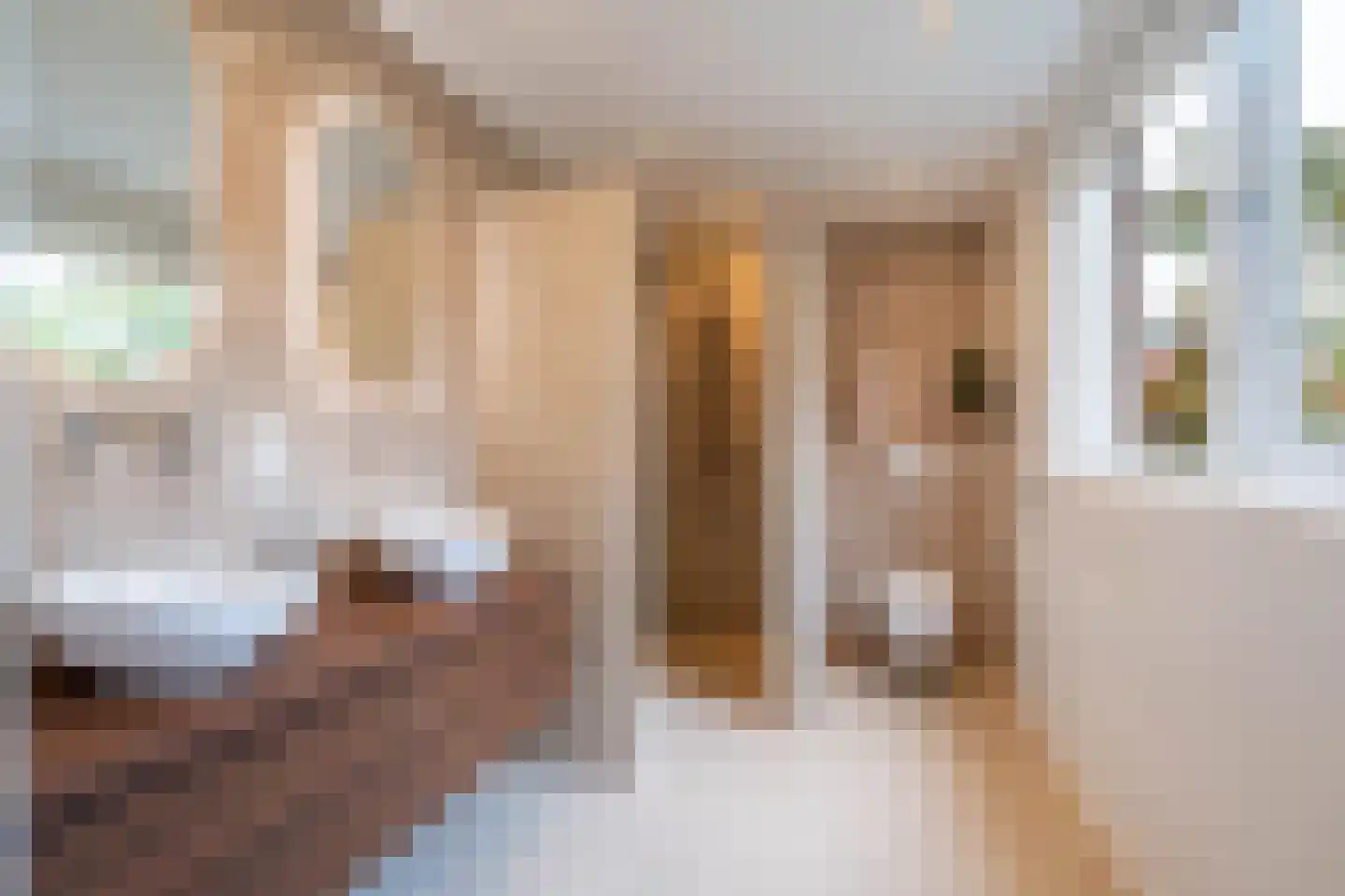 Kanariestraat 21 Breda thumbnail 29