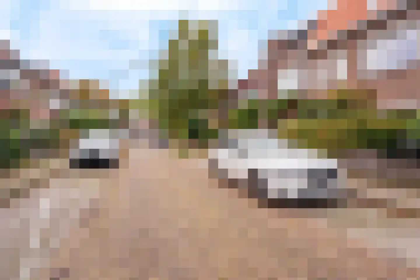 Kanariestraat 21 Breda thumbnail 32