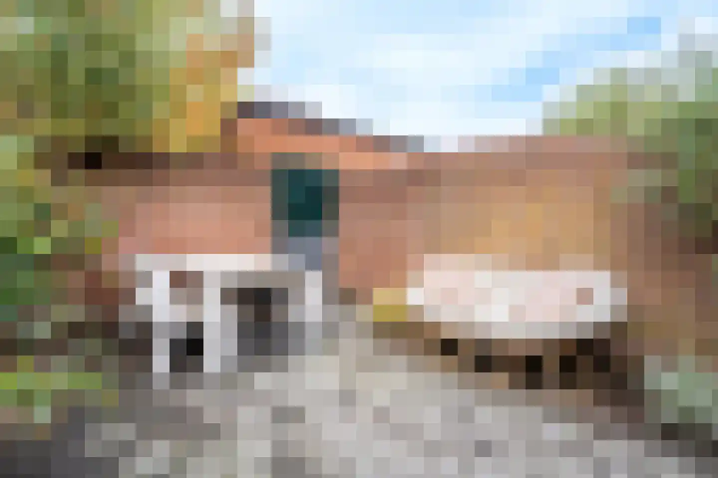 Kanariestraat 21 Breda thumbnail 5