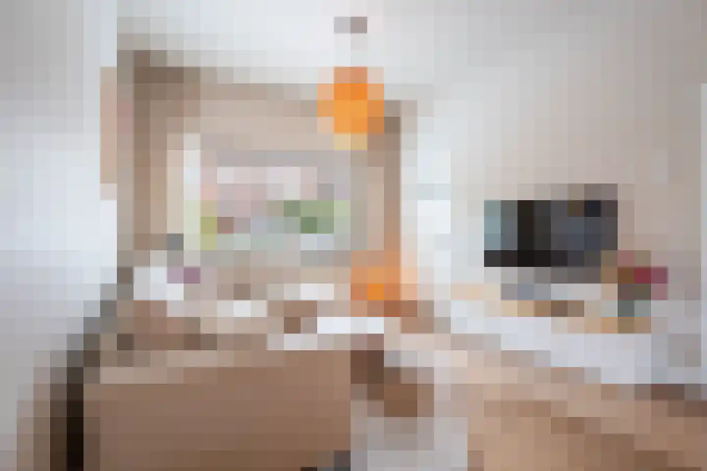 Kanariestraat 21 Breda thumbnail 9