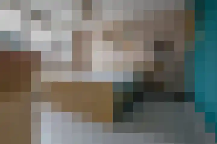 Kanariestraat 24 Kerkrade thumbnail 14