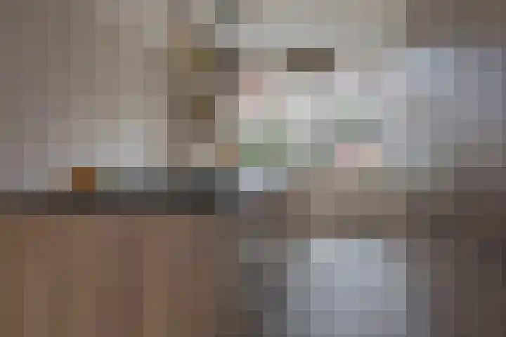 Kanariestraat 24 Kerkrade thumbnail 6