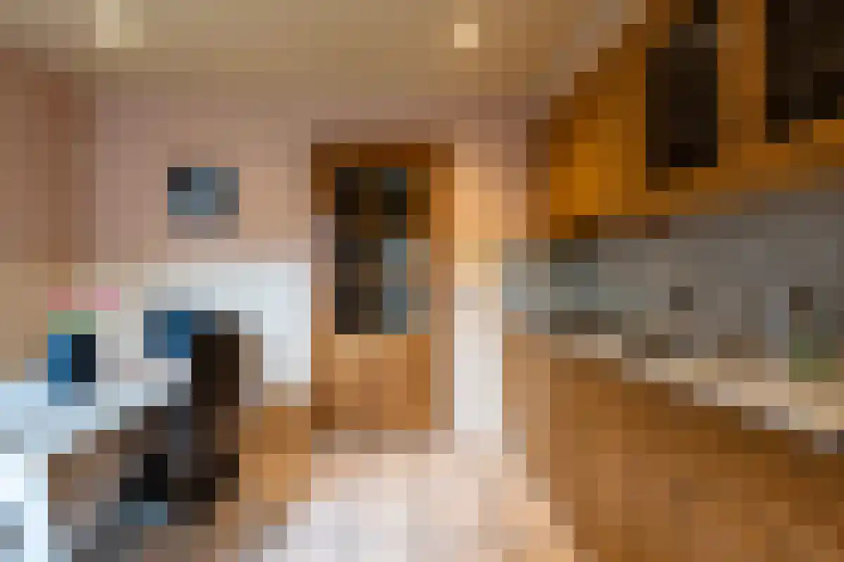 Kanariestraat 3 Heerlen thumbnail 7