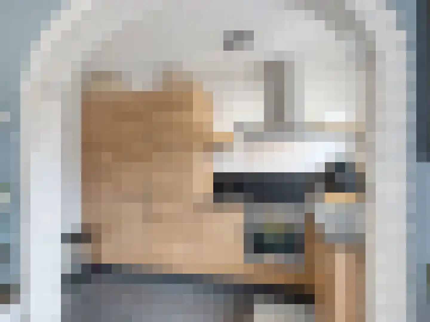 Kanariestraat 3 Spijkenisse thumbnail 11