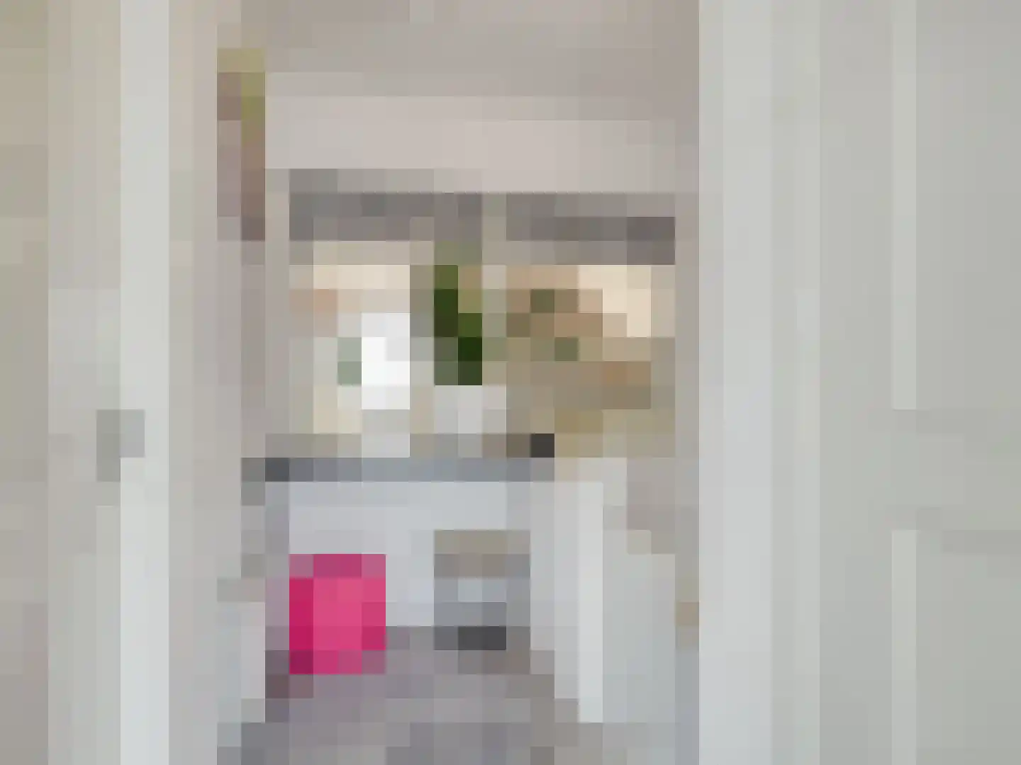 Kanariestraat 3 Spijkenisse thumbnail 23