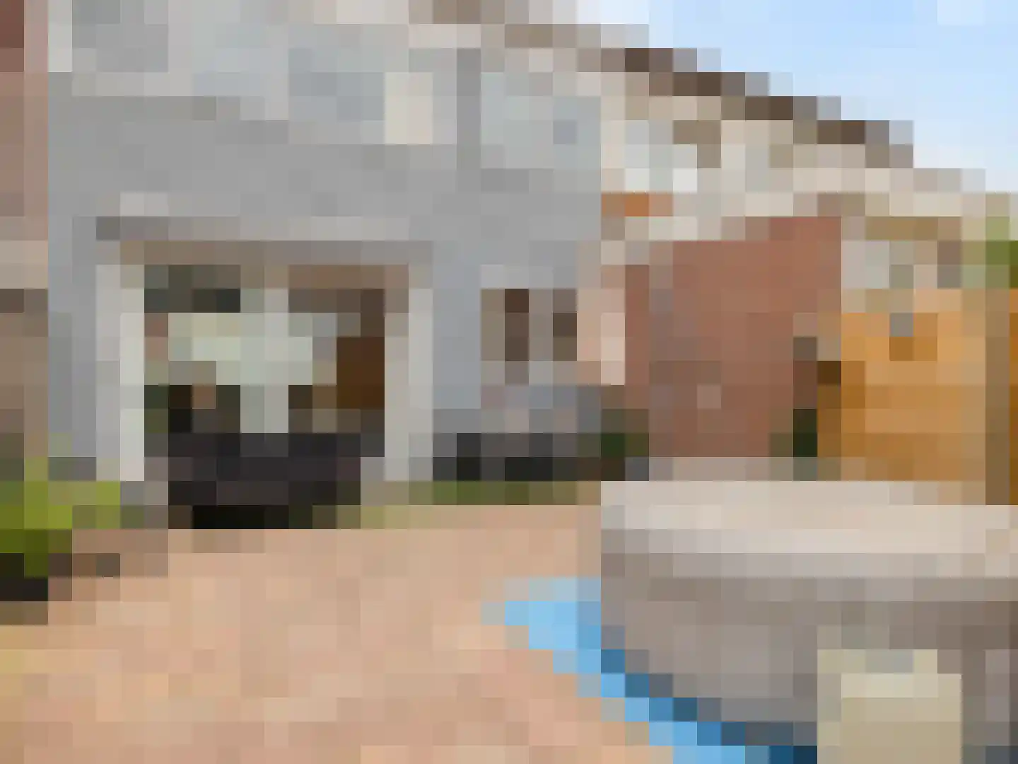 Kanariestraat 3 Spijkenisse thumbnail 26