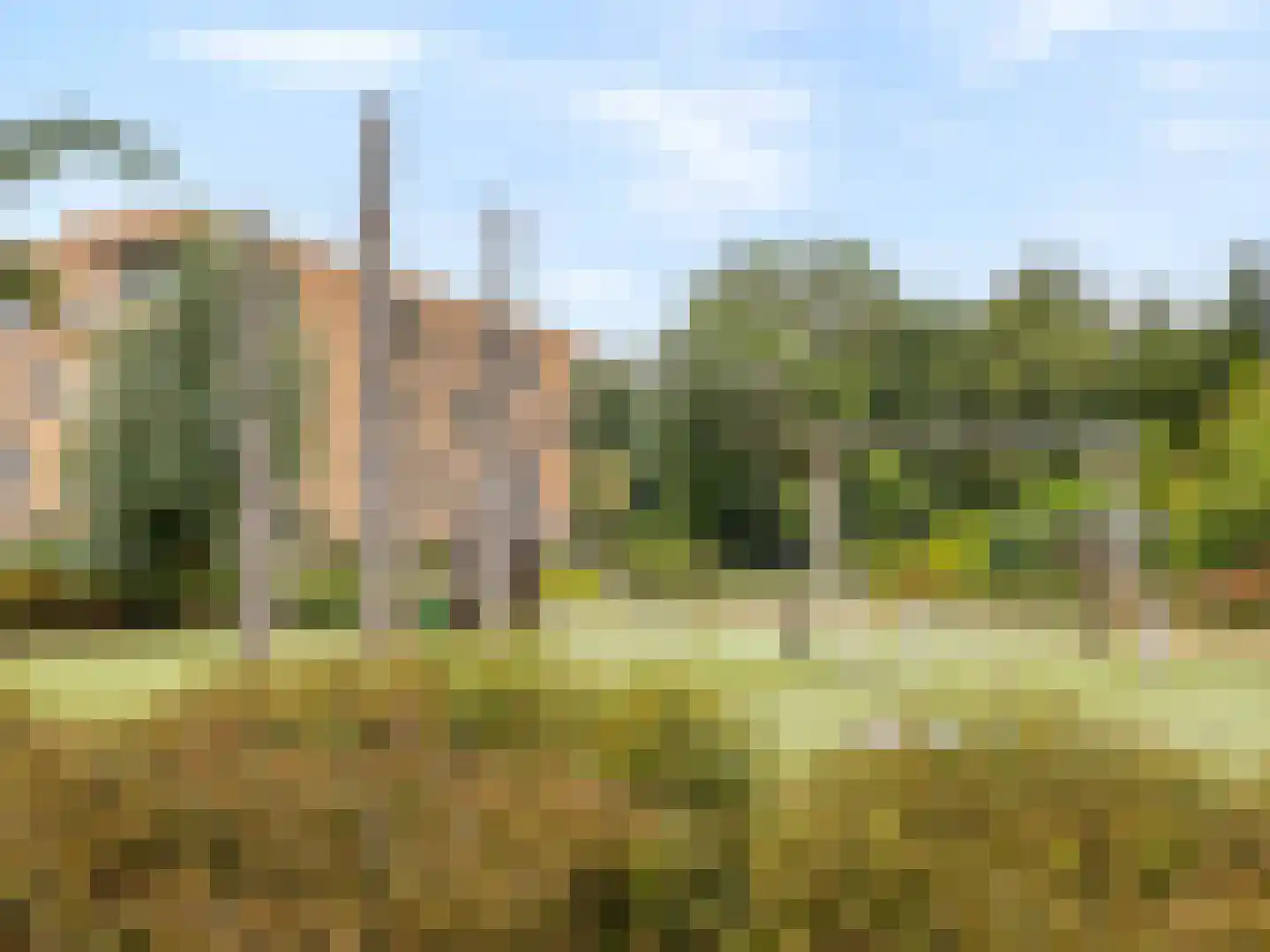 Kanariestraat 3 Spijkenisse thumbnail 36