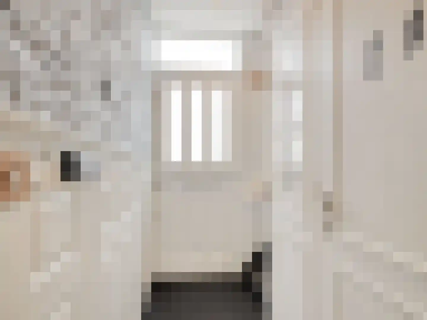 Kanariestraat 3 Spijkenisse thumbnail 4