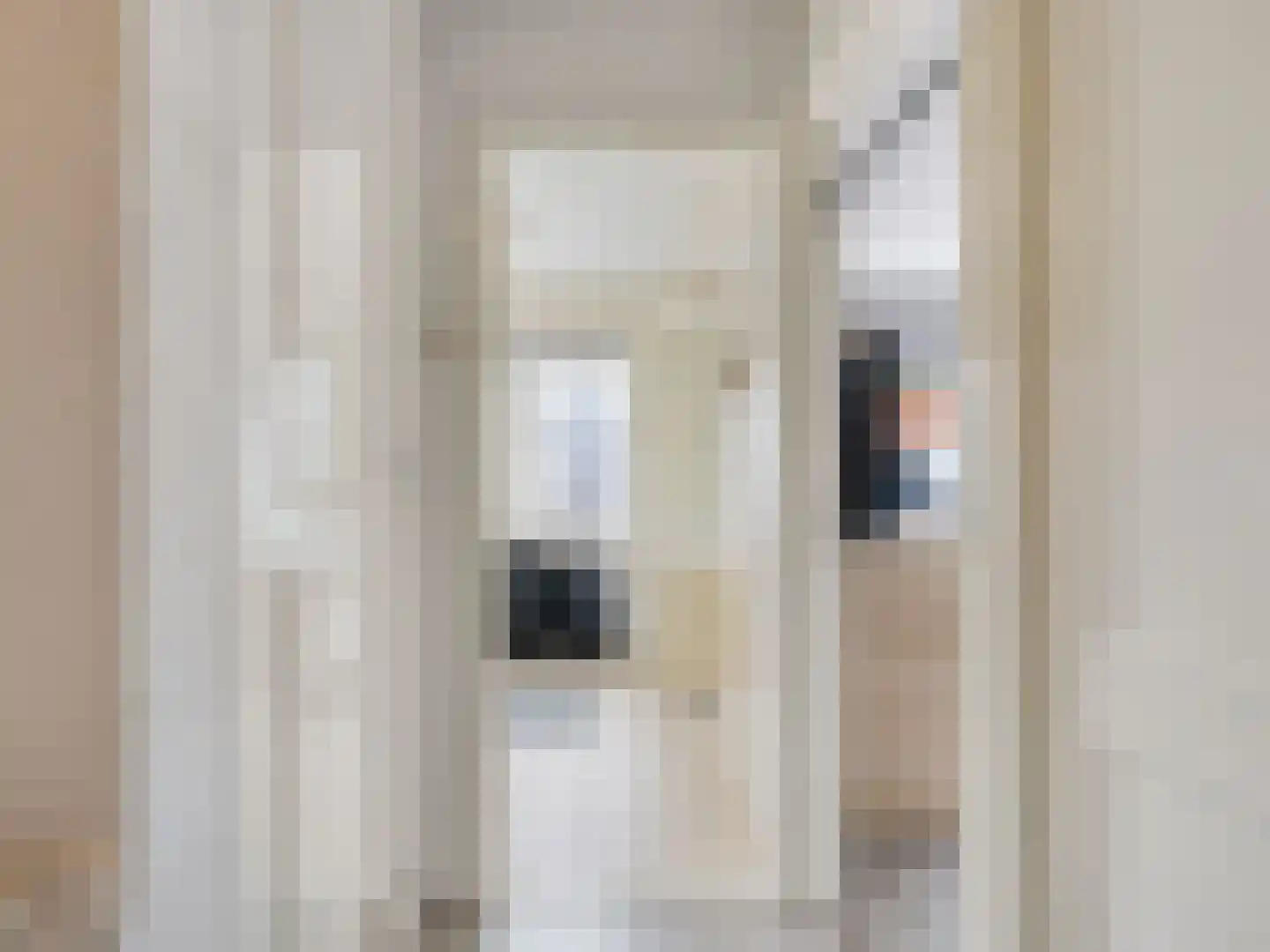 Kanariestraat 3 Spijkenisse thumbnail 5