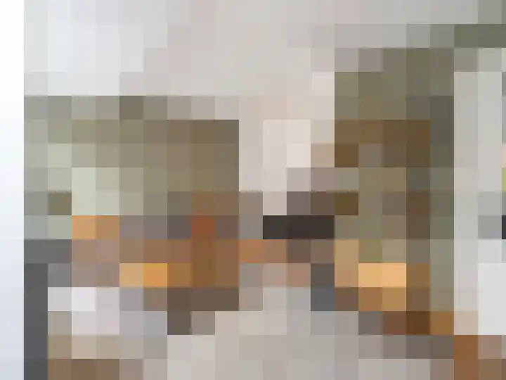 Kanariestraat 32 Breda thumbnail 11