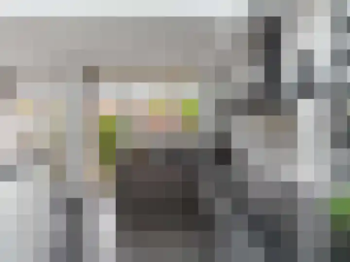 Kanariestraat 32 Breda thumbnail 13