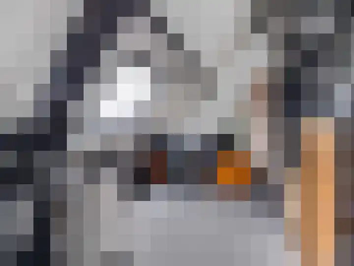 Kanariestraat 32 Breda thumbnail 33