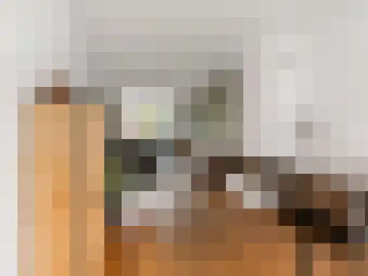 Kanariestraat 32 Breda thumbnail 6