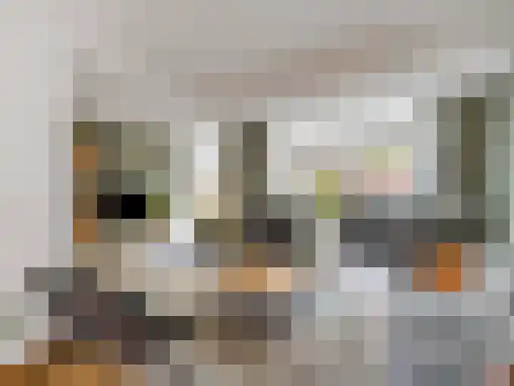 Kanariestraat 32 Breda thumbnail 9