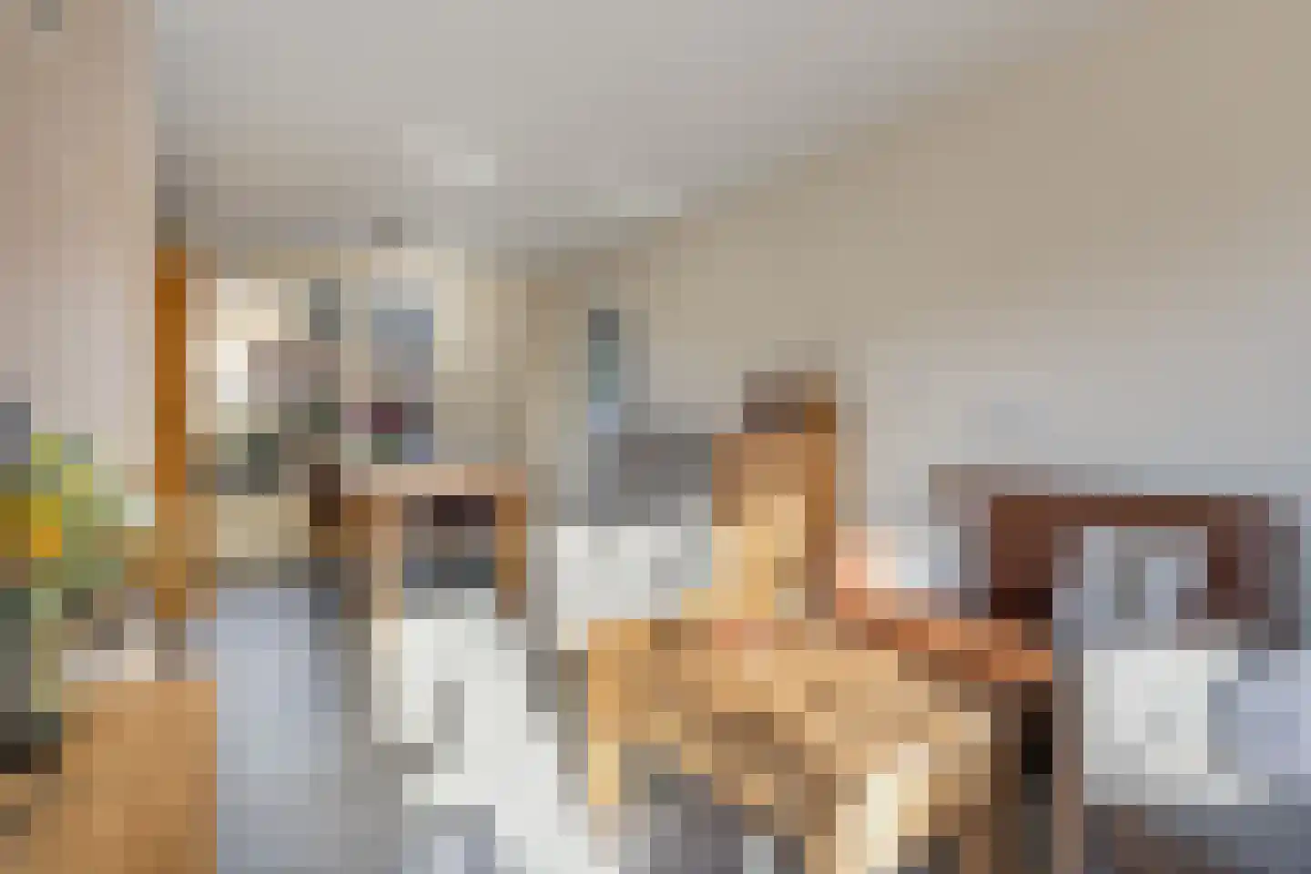 Kanariestraat 32 Wijchen thumbnail 11