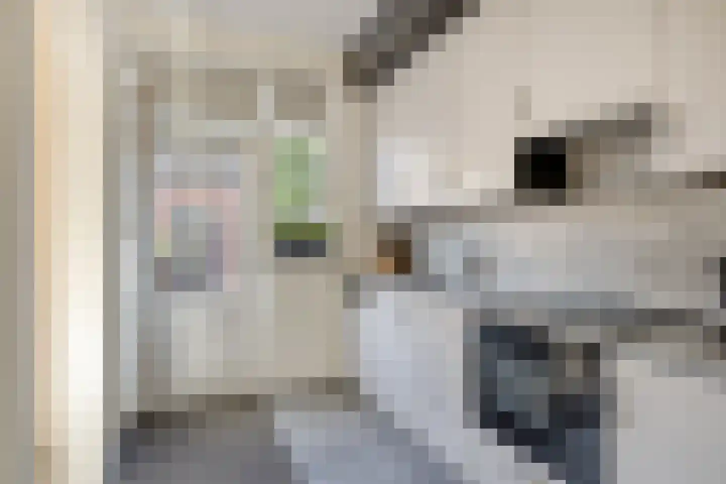 Kanariestraat 32 Wijchen thumbnail 15