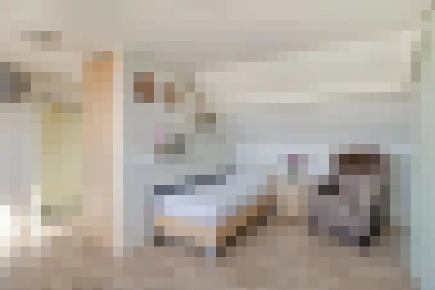 Kanariestraat 32 Wijchen thumbnail 25