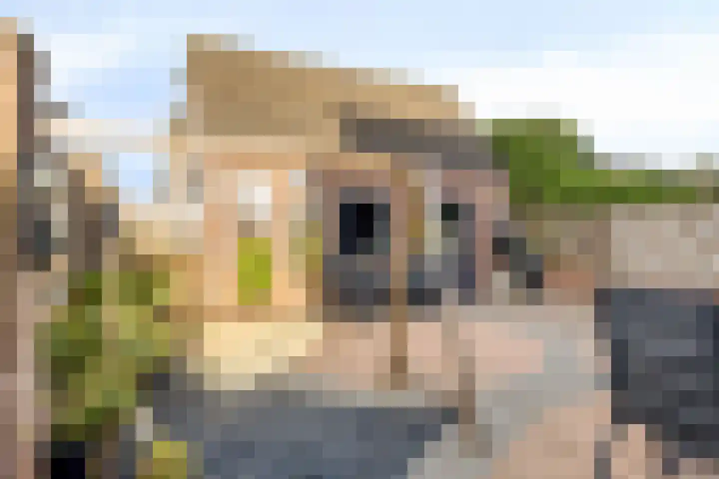 Kanariestraat 32 Wijchen thumbnail 29