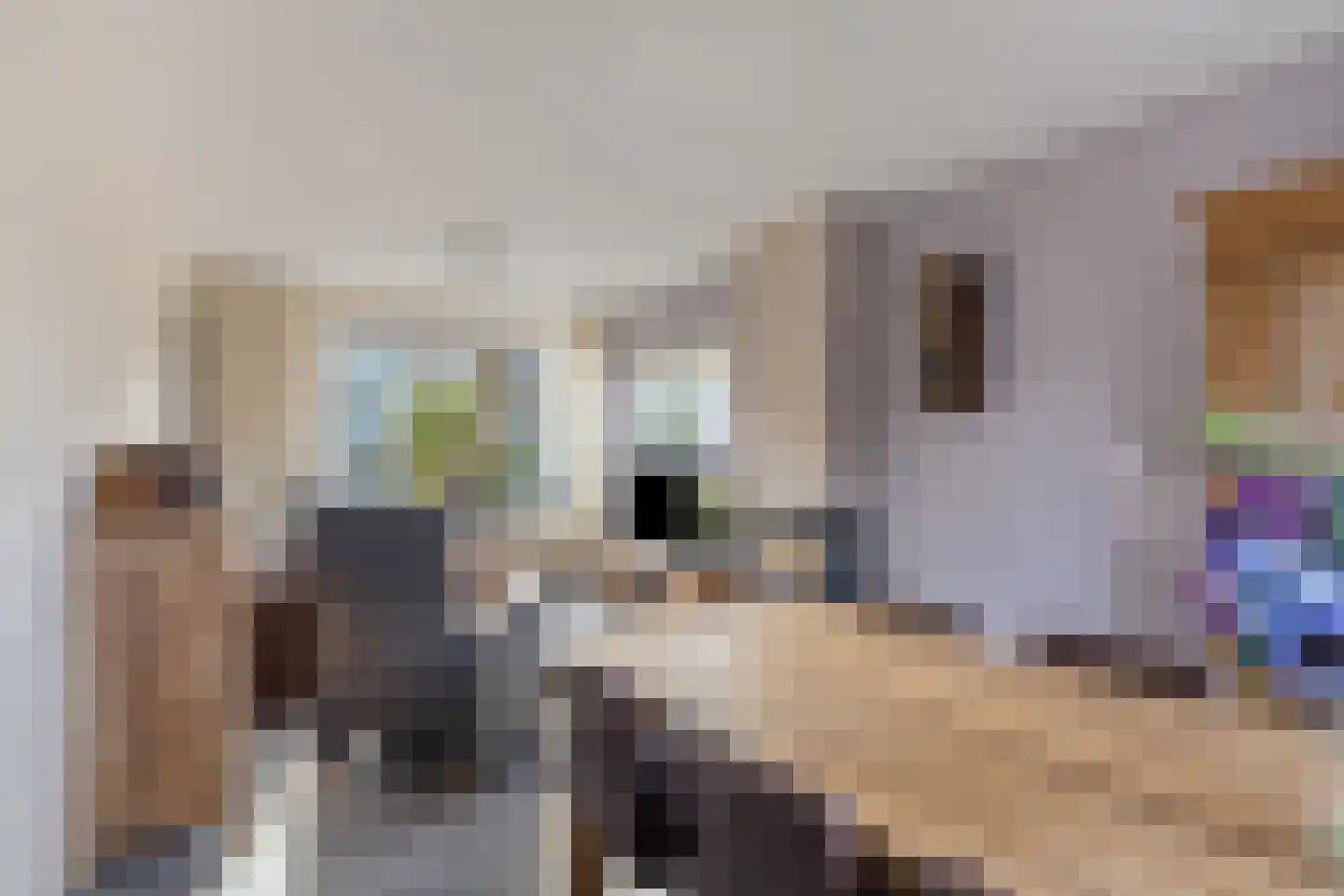 Kanariestraat 32 Wijchen thumbnail 7