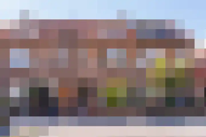 Kanariestraat 35 Breda thumbnail 43