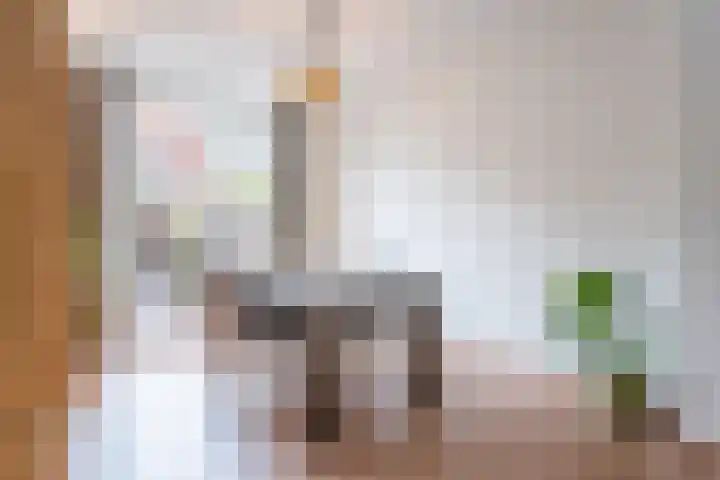 Kanariestraat 35 Breda thumbnail 5