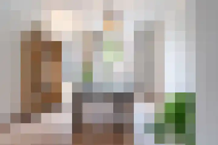 Kanariestraat 35 Breda thumbnail 6